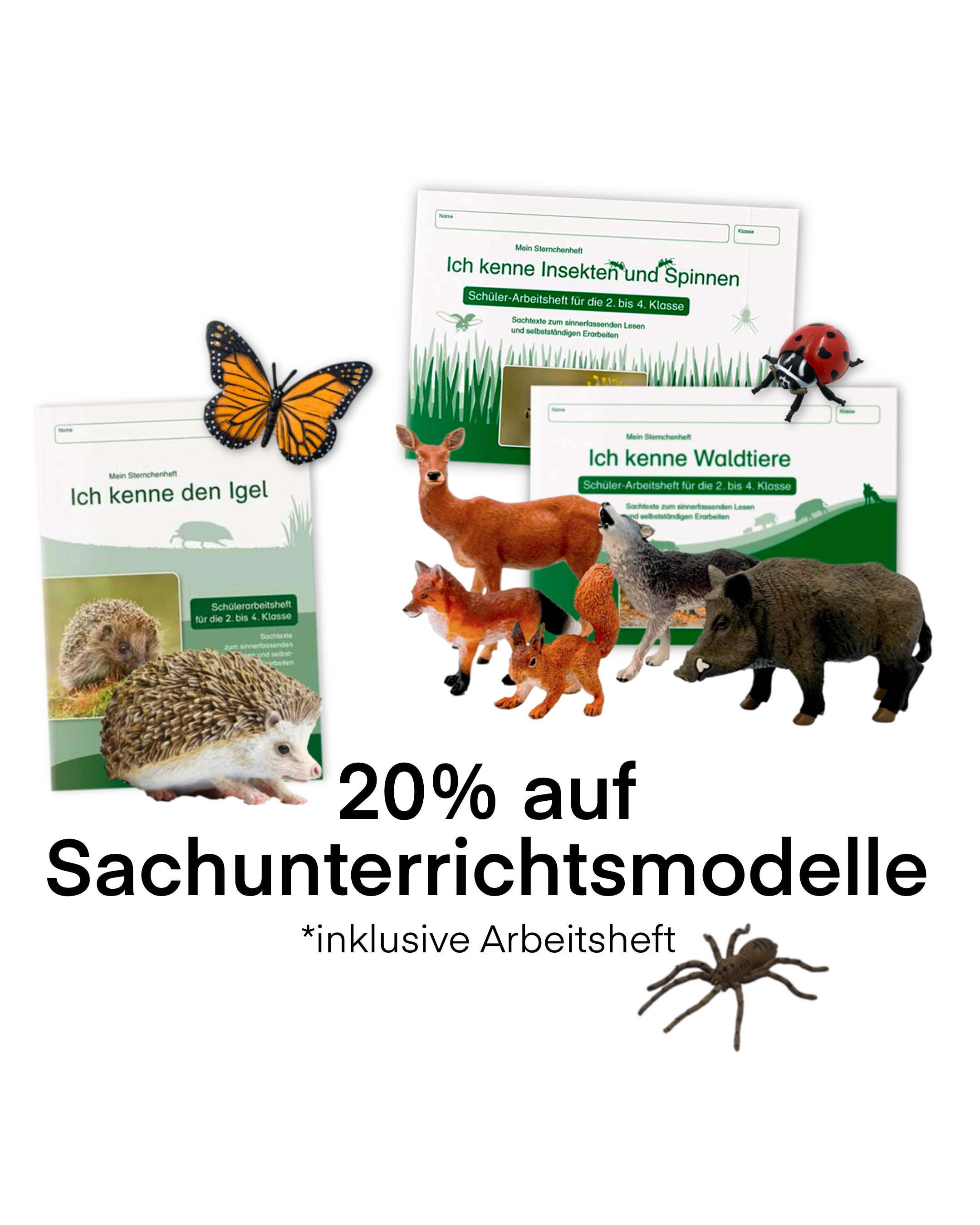 Sachunterrichtsmodelle